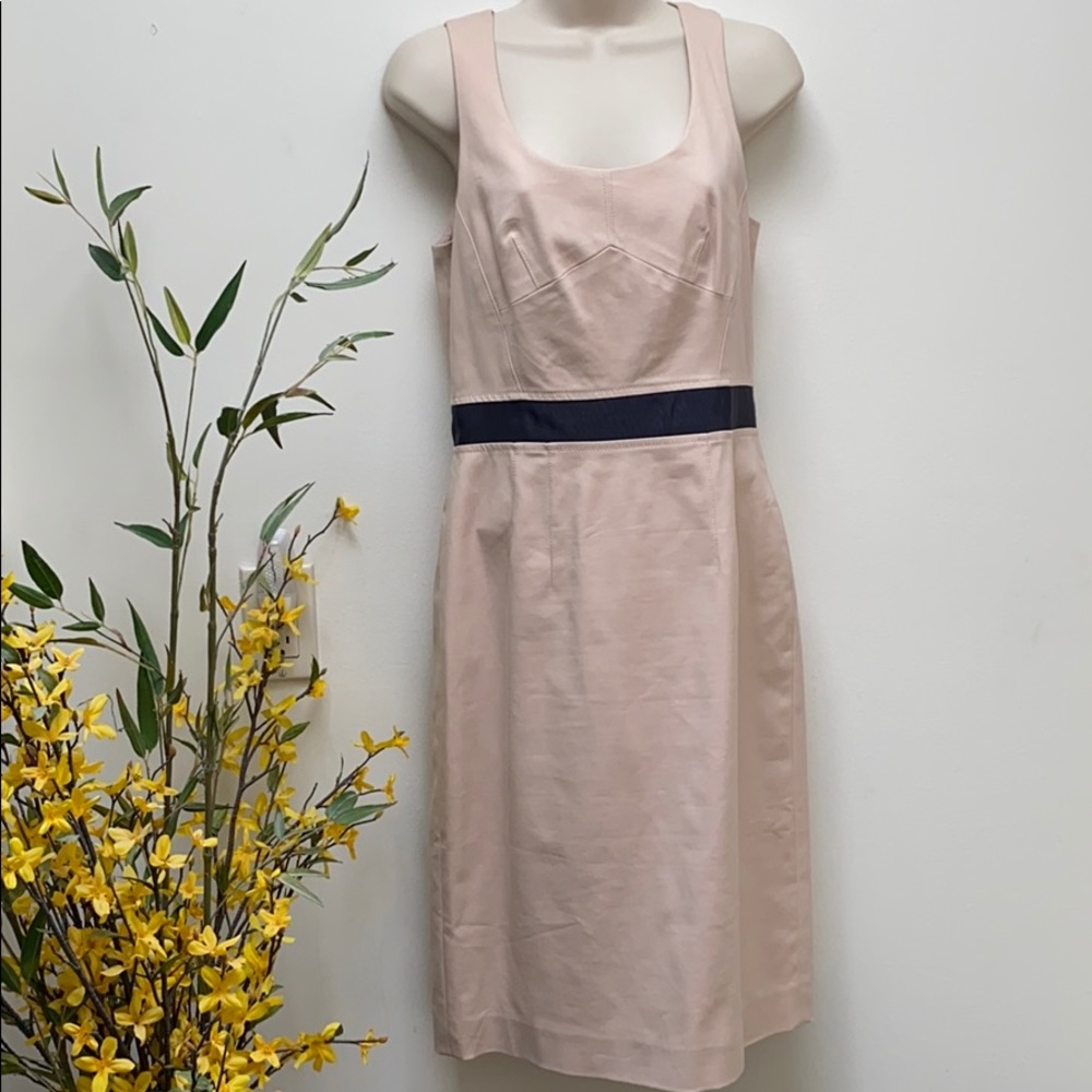 Club Monaco Dress